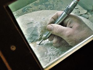 Arbeiten_1